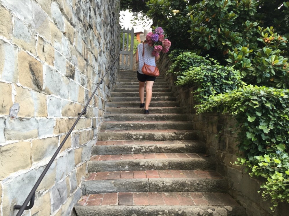 UNADJUSTEDNONRAW_thumb_1b72