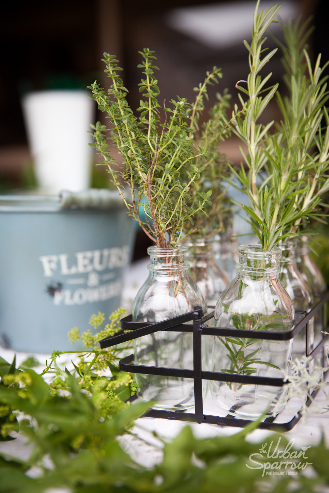 B328C17B-ACE9-4ACE-A9A3-89DA779BD22F