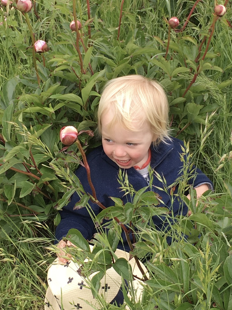 UNADJUSTEDNONRAW_thumb_b39