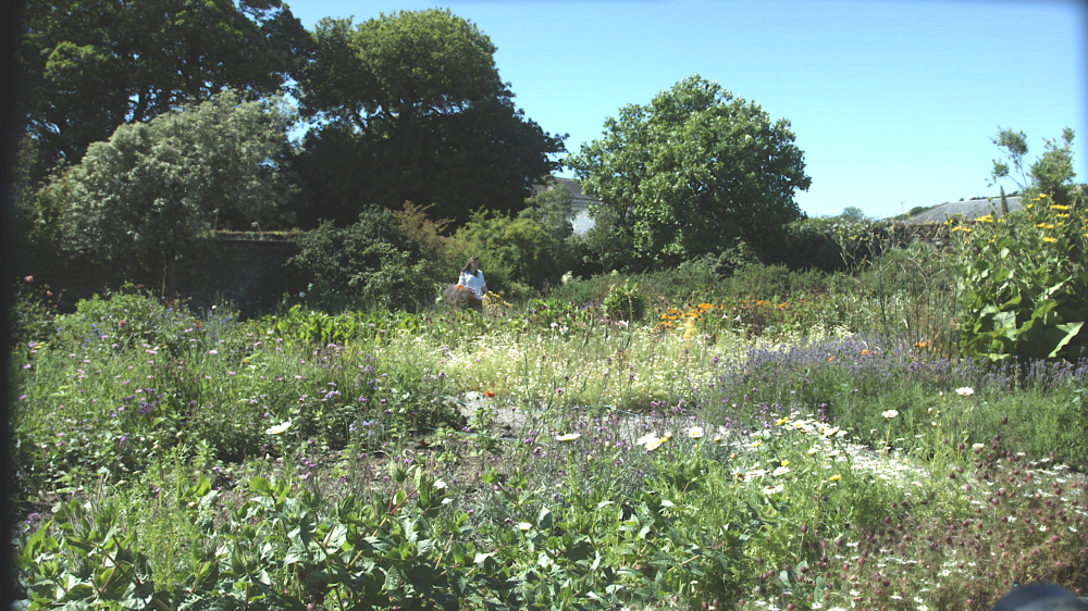 Screen Shot 2016-10-07 at 20.25.26