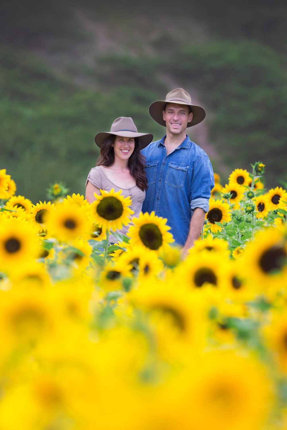 Couple in a sunflower field