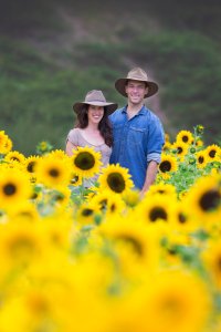 Couple in a sunflower field