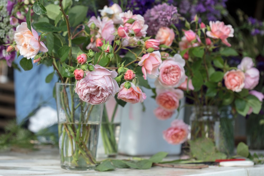 20161124_d8a0397 copy