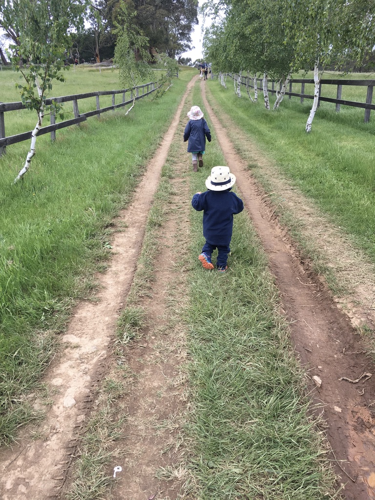 UNADJUSTEDNONRAW_thumb_b3b