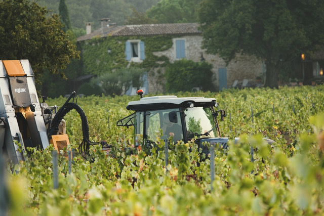 A tractor working in a vineyard with a rustic house in the background, surrounded by lush green grapevines.