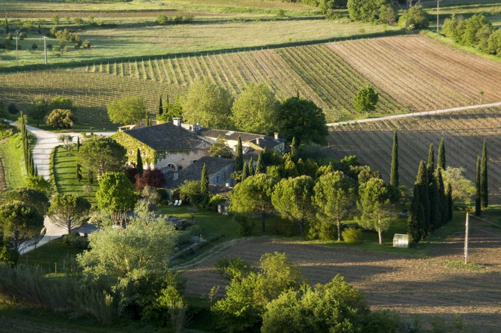 Aerial view of a rustic farmhouse surrounded by lush greenery and vineyards, with a winding gravel path leading to it.