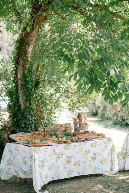 A picnic table covered with a floral tablecloth, displaying an assortment of baked goods, fruits, and pastries, set under a large leafy tree.