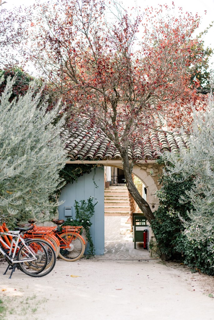 A picturesque entryway featuring a light blue door framed by greenery and a tree with red leaves, with several orange bicycles parked in front.